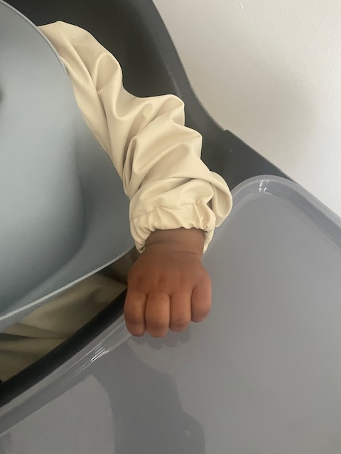 Weaning: Blumie Baby Bib (Long Sleeve Bib) & Ergobaby 3-in-1 Evolve High Chair