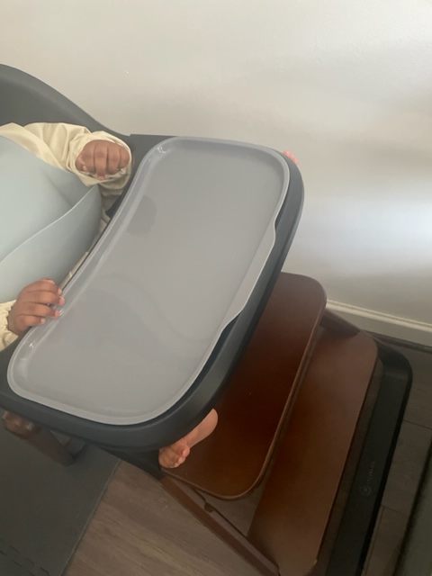 Weaning: Blumie Baby Bib (Long Sleeve Bib) & Ergobaby 3-in-1 Evolve High Chair