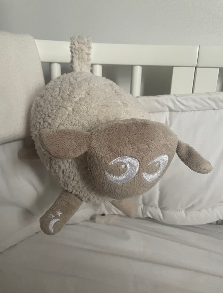 Baa-rilliant: Ewan The Sheep 🐑 Helped Us Sleep!